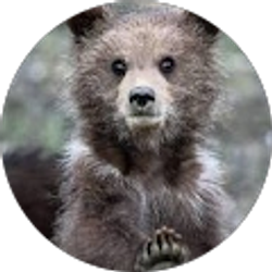 Profile photo of Tracey Solomon