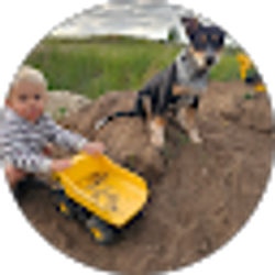 Profile photo of Dan Talbert