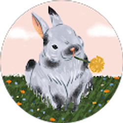 Profile photo of Abigail Cavallo