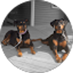 Profile photo of Augie Francis