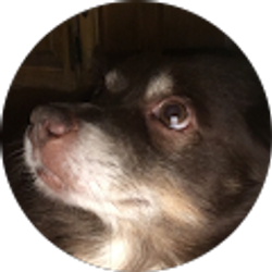 Profile photo of Lori Rash