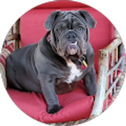 Profile photo of Joyce Moore