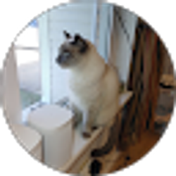 Profile photo of Brian Wolk