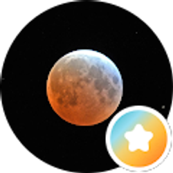 Profile photo of Craig Koteles