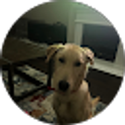 Profile photo of barry moss