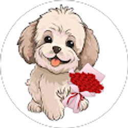 Profile photo of Nova