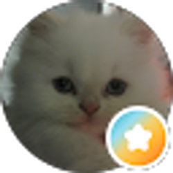 Profile photo of Hopeful