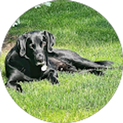 Profile photo of Brian B