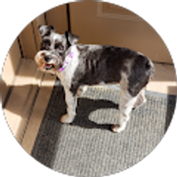 Profile photo of Robert Rollins