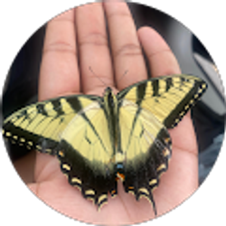 Profile photo of Tricha Railey