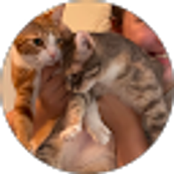 Profile photo of suada duvette