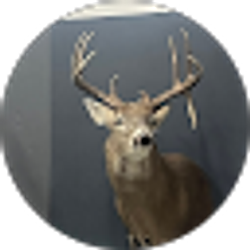 Profile photo of BJ Tipton