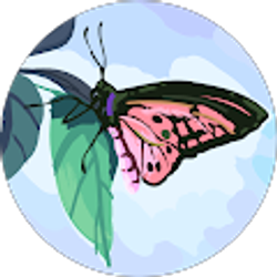 Profile photo of Maggie Vasut
