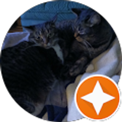 Profile photo of Cheryl Davis