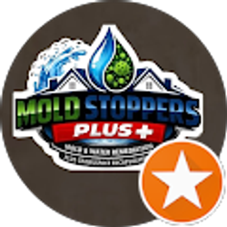 Profile photo of Steve Powell