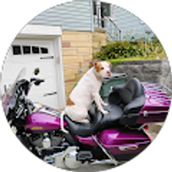 Profile photo of Patrick