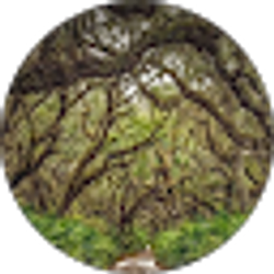 Profile photo of Wendy Durrance