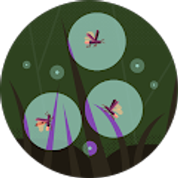 Profile photo of E. Ann Paxson