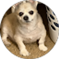 Profile photo of mark muncy