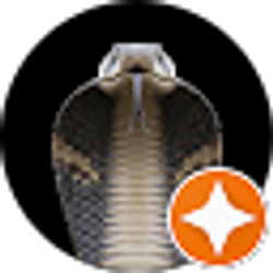 Profile photo of ROSKO