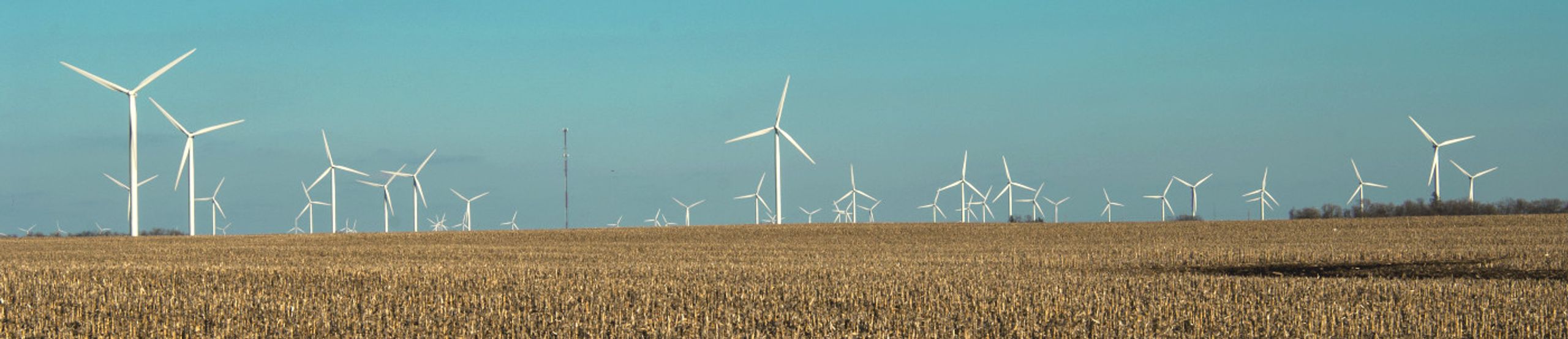 State Farm Insurance Agent Rick McLean in Bloomington IL