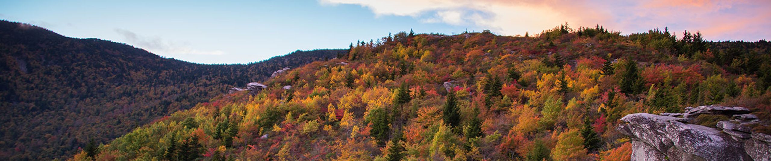 GA Auto & Home Insurance Agent Billy Kelton State Farm®