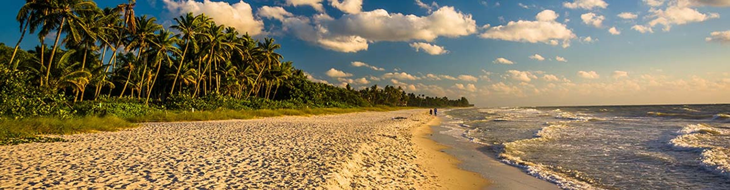 FL Auto & Home Insurance Agent Drew Davis - State Farm®