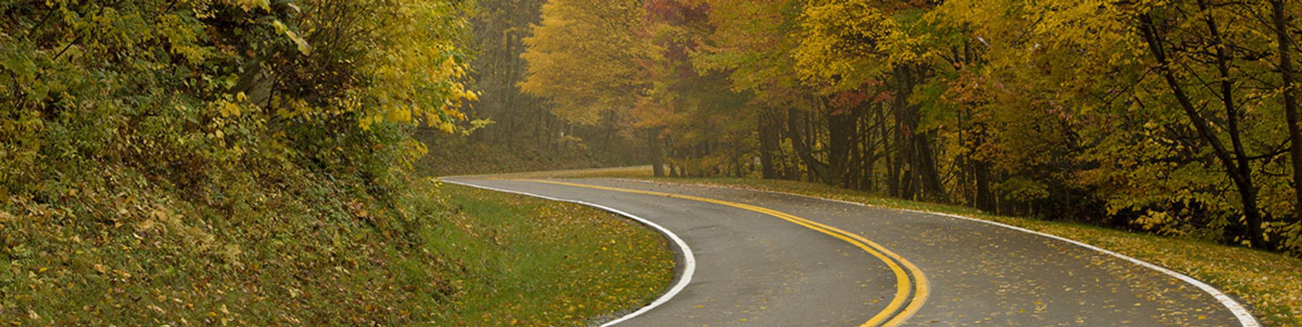 CA Auto & Home Insurance Agent Steve Smith - State Farm®