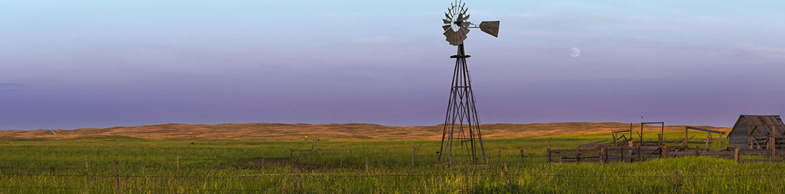 Bellevue NE State Farm Insurance Agent Charlotte Beardmore