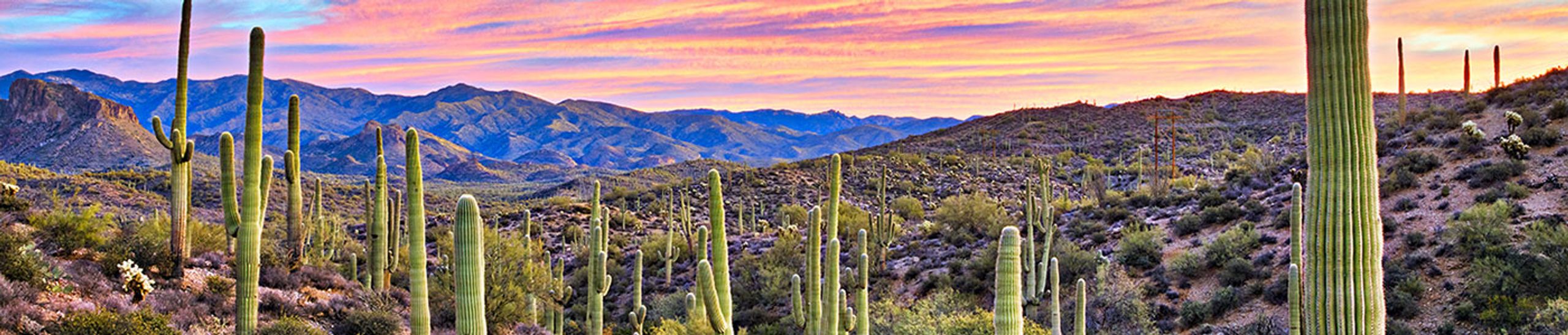 AZ Auto & Home Insurance Agent Tom DeBerry - State Farm®