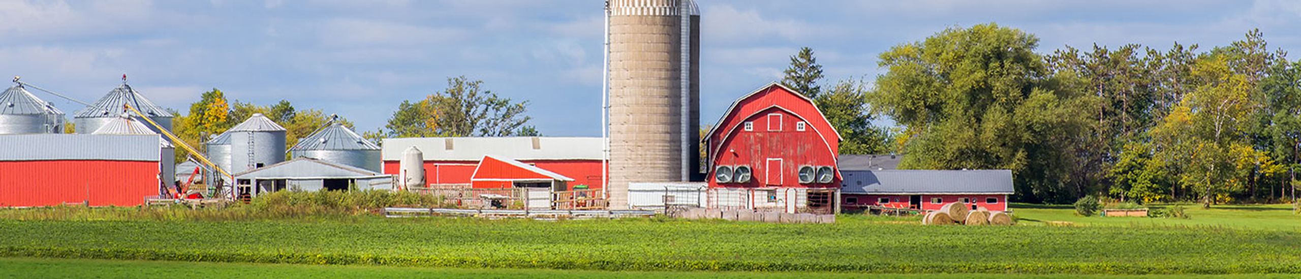 IL Auto & Home Insurance Agent Chad Lucas State Farm®