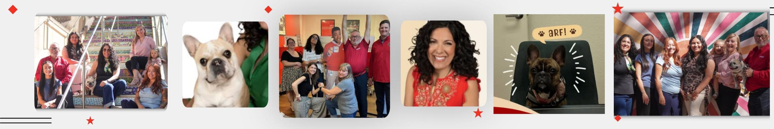 State Farm Insurance