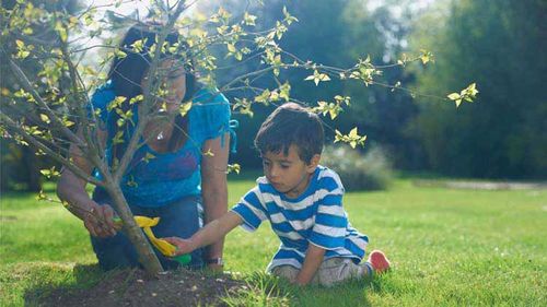 Child planting a tree with his mother