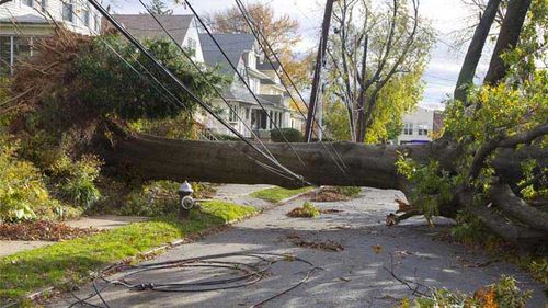 Power outage tips infographic.