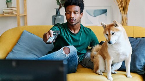 Man in green shirt on a couch points remote at TV as his dog watches.