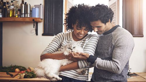 Man and woman holding a cat.