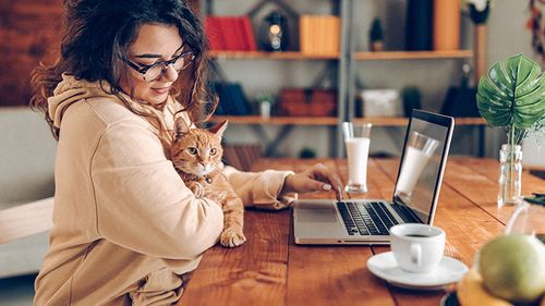 Young woman working on laptop while snuggling her cat.