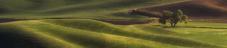 Kenewick, Wa Insurance - Scott Smith State Farm